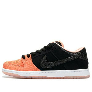Nike �i�C�L �����Y �X�j�[�J�[ �yNike x Premier SB Dunk Low Pro 'Fish Ladder' 313170-603�z �T�C�Y US_8.5(26.5cm)