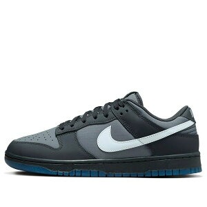 Nike �i�C�L �����Y �X�j�[�J�[ �_���N �yNike Dunk Low 'Anthracite' FV0384-001�z �T�C�Y US_8.5(26.5cm)