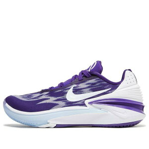 Nike �i�C�L �����Y �X�j�[�J�[ �yNike Air Zoom GT Cut 2 TB Promo 'Court Purple' DX6650-500�z �T�C�Y US_M_14