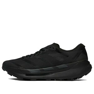 adidas �A�f�B�_�X �����Y �X�j�[�J�[ �yadidas Terrex Agravic TT Trail 'Black' KI4303�z �T�C�Y US_12.5(30.5cm)