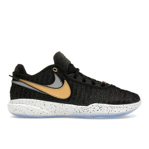 Nike �i�C�L �����Y �X�j�[�J�[ �yNike LeBron 20 Black Metallic Gold�z �T�C�Y US_11(29.0cm) Black/Metallic Gold/White/Pure Platinum
