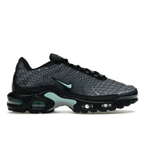 Nike iCL Y Xj[J[ yNike Air Max Plus Spirographz TCY US_10.5(28.5cm) Light Smoke Grey/Black/Iron Grey/Green Glow