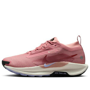 Nike �i�C�L ���f�B�[�X �X�j�[�J�[ Red Stardust/Lilac Ice/Alabaster/Mars Stone �y(WMNS) Nike React Pegasus Trail 5 Gore-Tex 'Red Stardust Lilac Ice Alabaster' FQ0912-602�z �T�C�Y US_7.5(24.5cm)