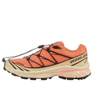 SALOMON �T������ �����Y �X�j�[�J�[ �ySALOMON XT-6 'Living Coral' 474450�z �T�C�Y US_6(24.0cm)