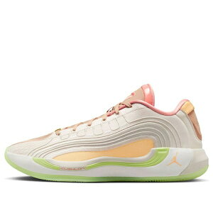 Air Jordan W[_ Y Xj[J[ yAir Jordan Luka 4 PF 'Net' IO0198-100z TCY US_7(25.0cm)