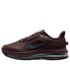 Nike �i�C�L ���f�B�[�X �X�j�[�J�[ �y(WMNS) Nike Pegasus Premium 'Tattoo' HQ2593-502�z �T�C�Y US_8.5(25.5cm)