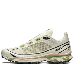 SALOMON �T������ �����Y �X�j�[�J�[ �ySalomon XT-6 FT 'Beige Green' 417424 / L41742400�z �T�C�Y US_8.5(26.5cm)