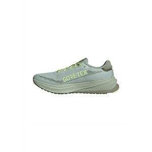 AfB_X Y tBbglX X|[c SUPERNOVA RISE GTX - Road running shoes - wonsil silvmt olistr