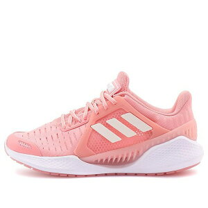 adidas AfB_X fB[X Xj[J[ Pink y(WMNS) adidas Climacool Vent Summer.Rdy EM 'Glory Pink' EG1119z TCY US_5(22.0cm)
