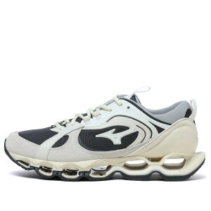 Mizuno �~�Y�m �����Y �X�j�[�J�[ �yMizuno Wave Prophecy 2 'Dark Shadow' D1GA235009�z �T�C�Y US_11.5(29.5cm)