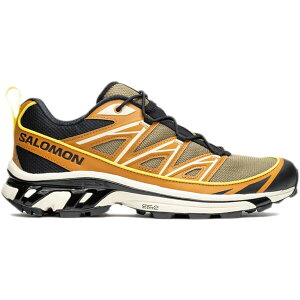 Salomon �T������ �����Y �X�j�[�J�[ �ySalomon XT-6 Expanse Cathay Spice�z �T�C�Y US_10.5(28.5cm) Cathay Spice/Lizard/Buttercup