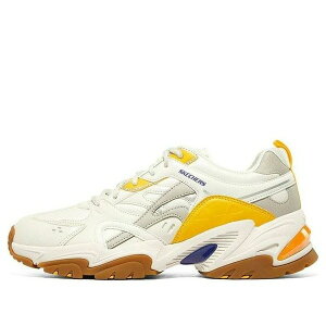 Skechers �X�P�b�`���[�Y �����Y �X�j�[�J�[ �ySkechers Stamina V2 Low-Top Daddy Shoes Grey Brown 894053-TPMT�z �T�C�Y US_8(26.0cm)
