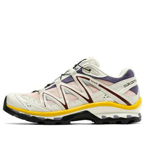 SALOMON T Y Xj[J[ ySalomon XT-Quest Advanced 'Beige' 412553z TCY US_9.5(27.5cm)