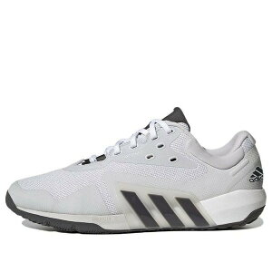 adidas �A�f�B�_�X �����Y �X�j�[�J�[ �yadidas Dropset 'Dash Grey' GW3904�z �T�C�Y US_7.5(25.5cm)