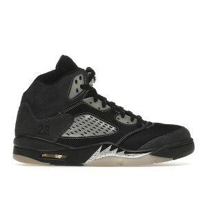 Jordan �W���[�_�� �����Y �X�j�[�J�[ �yJordan 5 Retro Anthracite�z �T�C�Y US_11(29.0cm) Anthracite/Wolf Grey-Clear-Black