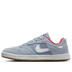 Nike �i�C�L �����Y �X�j�[�J�[ �yNike SB Alleyoop 'Grey White' CJ0882-400�z �T�C�Y US_7(25.0cm)