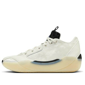 Air Jordan �W���[�_�� �����Y �X�j�[�J�[ �yAir Jordan 39 PF 'No Alteration' FQ0214-104�z �T�C�Y US_7(25.0cm)