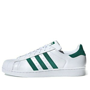 adidas AfB_X Y Xj[J[ yadidas Superstar 'White Collegiate Green' EE4473z TCY US_7.5(25.5cm)