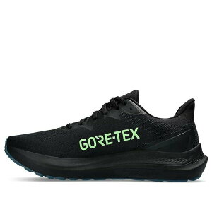 ASICS �A�V�b�N�X �����Y �X�j�[�J�[ �yASICS GT-2000 12 GTX 'Black Illuminate Green' 1011B687-001�z �T�C�Y US_8.5(26.5cm)