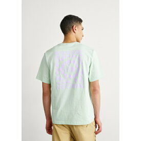 ノースフェイス メンズ Tシャツ トップス VOYAGE TEE RELAXED - Print T-shirt - subtle green