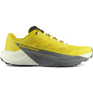 Salomon T Y Xj[J[ ySalomon Pulsar Incaberry Sedona Sagez TCY US_7.5(25.5cm) Incaberry/Vanilla Ice/Sedona Sage