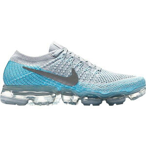 Nike iCL fB[X Xj[J[ yNike Air VaporMax Ice Flash (Women's)z TCY US_6.5(23.5cm) Pure Platinum/Metallic Silver