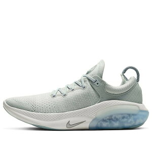 Nike �i�C�L ���f�B�[�X �X�j�[�J�[ �y(WMNS) Nike Joyride Run FK 'Light Silver' AQ2731-002�z �T�C�Y US_9(26.0cm)