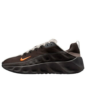 Nike �i�C�L �����Y �X�j�[�J�[ �yNike Ava Rover 'Velvet Brown Oatmeal' DX4215-209�z �T�C�Y US_12(30.0cm)
