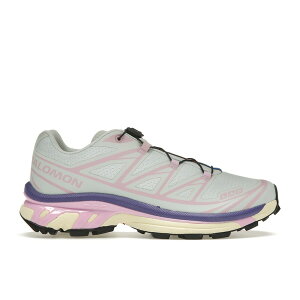 Salomon �T������ �����Y �X�j�[�J�[ �ySalomon XT-6 Ice Flow Orchi Bouquet�z �T�C�Y US_9(27.0cm) Ice Flow/Orchid Bouquet/Liberty