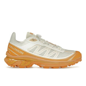 Salomon �T������ �����Y �X�j�[�J�[ �ySalomon XT-6 FT Vanilla Ice Hazelnut�z �T�C�Y US_5.5(23.5cm) Vanilla Ice/Buckskin/Hazelnut