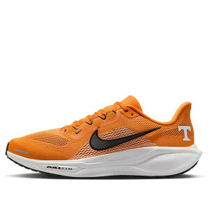Nike �i�C�L �����Y �X�j�[�J�[ �yNike x NCAA Pegasus 41 'Tennessee' IB3253-800�z �T�C�Y US_10(28.0cm)