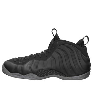 Nike �i�C�L �����Y �X�j�[�J�[ �yNike Air Foamposite One 'Stealth' 314996-010�z �T�C�Y US_M_14