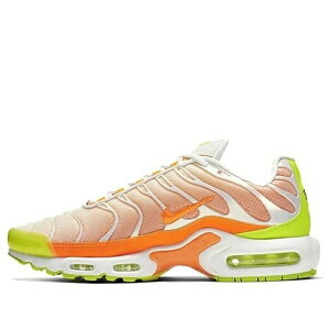 Nike �i�C�L �����Y �X�j�[�J�[ �yNike Air Max Plus 'Color Flip' CI5924-531�z �T�C�Y US_8.5(26.5cm)