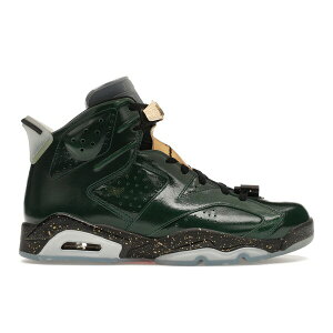 Jordan �W���[�_�� �����Y �X�j�[�J�[ �yJordan 6 Retro Champagne�z �T�C�Y US_10.5(28.5cm) Pure Green/Metallic Gold-Chilling Red-Black