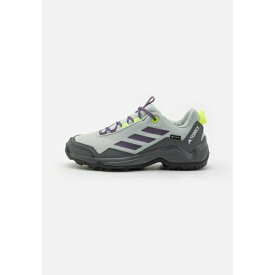 アディダス テレックス レディース テニス スポーツ EASTRAIL GORE-TEX - Hiking shoes - silver/shadow violet/lucid lemon