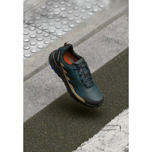 AfB_X ebNX Y nCLO X|[c ANYLANDER R.RDY - Hiking shoes - aurora ivy/core black/cardboard