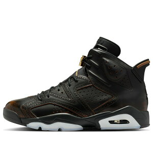 Jordan �W���[�_�� �����Y �X�j�[�J�[ �yAir Jordan 6 'Xuan Wu' IR7572-220�z �T�C�Y US_12(30.0cm)