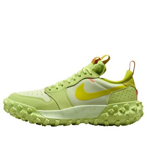 Jordan �W���[�_�� �����Y �X�j�[�J�[ �yAir Jordan 1 Element Low 'Light Lemon Twist' FV4227-700�z �T�C�Y US_12.5(30.5cm)