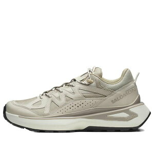 SALOMON �T������ �����Y �X�j�[�J�[ �ySALOMON Odyssey ELMT Low Leather 'Rainy Day Oxford Tan Ethereal' 477253�z �T�C�Y US_12.5(30.5cm)