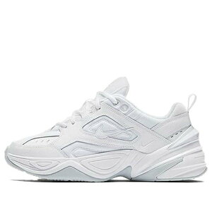Nike �i�C�L ���f�B�[�X �X�j�[�J�[ �y(WMNS) Nike M2K Tekno 'Matte Silver' AO3108-100�z �T�C�Y US_7(24.0cm)