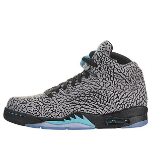 Jordan �W���[�_�� �����Y �X�j�[�J�[ �yAir Jordan 5 Retro '3Lab5' 599581-007�z �T�C�Y US_10(28.0cm)