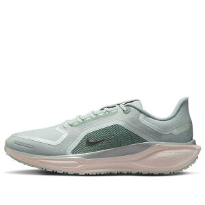Nike �i�C�L �����Y �X�j�[�J�[ �yNike Air Zoom Pegasus 41 Gore-Tex 'Light Pumice Metallic Silver' FQ1356-007�z �T�C�Y US_12.5(30.5cm)