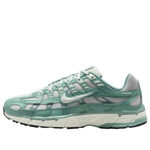 Nike �i�C�L ���f�B�[�X �X�j�[�J�[ �y(WMNS) Nike P-6000 'Cannon Platinum Tint' BV1021-010�z �T�C�Y US_W_12