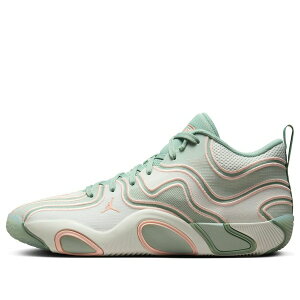 Air Jordan �W���[�_�� �����Y �X�j�[�J�[ �yAir Jordan Tatum 3 PF 'Zero Days Off' FZ6601-002�z �T�C�Y US_8(26.0cm)