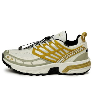 SALOMON �T������ �����Y �X�j�[�J�[ �ySALOMON ACS Pro Gore-Tex 'Cicle Antelope' 475998�z �T�C�Y US_6(24.0cm)