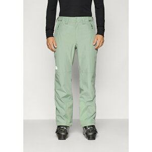 m[XtFCX Y JWApc {gX DESCENDIT PANT - Snowboard pants - slate moss