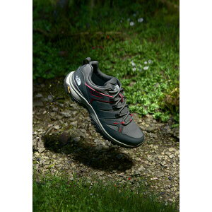 m[XtFCX Y nCLO X|[c HEDGEHOG GORE TEX - Hiking shoes - smoked pearl/asphalt grey