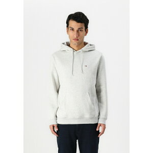 g~[qtBK[ Y T_ V[Y FLAG HOODIE - Sweatshirt - silver grey