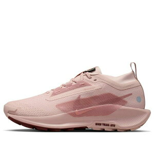 Nike �i�C�L ���f�B�[�X �X�j�[�J�[ �y(WMNS) Nike Pegasus Trail 5 GTX 'Pink Oxford' FQ0912-601�z �T�C�Y US_9(26.0cm)