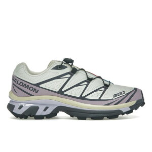 Salomon �T������ �����Y �X�j�[�J�[ �ySalomon XT-6 Icicle Nirvana�z �T�C�Y US_9(27.0cm) Icicle/Nirvana/Nine Iron